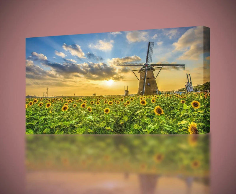 Canvas print of a sunflower field with a windmill at sunset and blue-gold sky