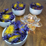 Dried Blue Lotus Flowers Nymphaea Caerulea Natural Hand Picked Flower Herbal Tea Lily