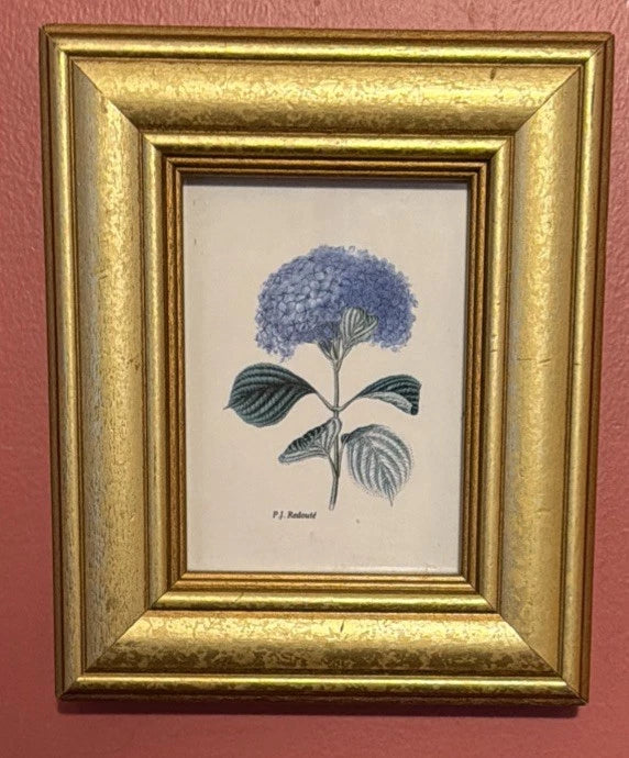 Botanical hydrangea flower print in gold wood frame, blue blooms and green leaves