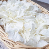 1500Pcs Real Dried Ivory White Hydrangea Flower Petals - Natural Smal Petals for Hydrangea