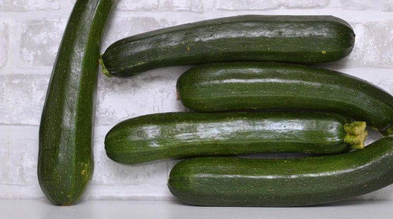 25+ Dunja Zucchini Squash Seeds for Garden Planting - USA - FREE SHIPPING! Garden Plants