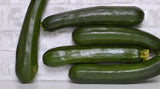 25+ Dunja Zucchini Squash Seeds for Garden Planting - USA - FREE SHIPPING! Garden Plants