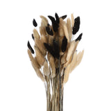 100pcs Natural Bunny Tail Dried Flowers 18" Mini Pampas Grass, Black White Brown Dried Flower