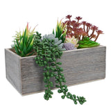 Succulents Plants Artificial, 11.4" Desktop Decor Mini Succulents in Pot for ... Green Plant