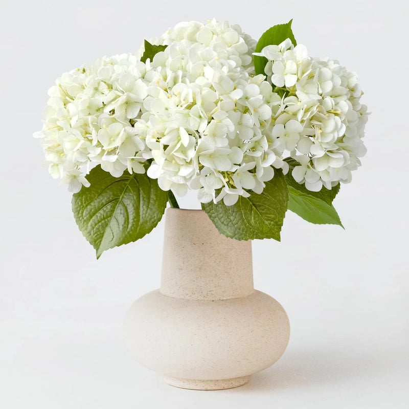 ZYTUYO 4PCS White Artificial Hydrangea Flowers 20" Real Touch Latex Faux Hydrangea