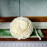 8 Jasmine Sola Wood Diffuser Flowers 6 cm Dia. with cotton rope. For Craft Carnation