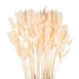 120pcs Natural Bunny Tails Dried Flowers 24" Mini Pampas Grass, Light Yellow Pampas Grass