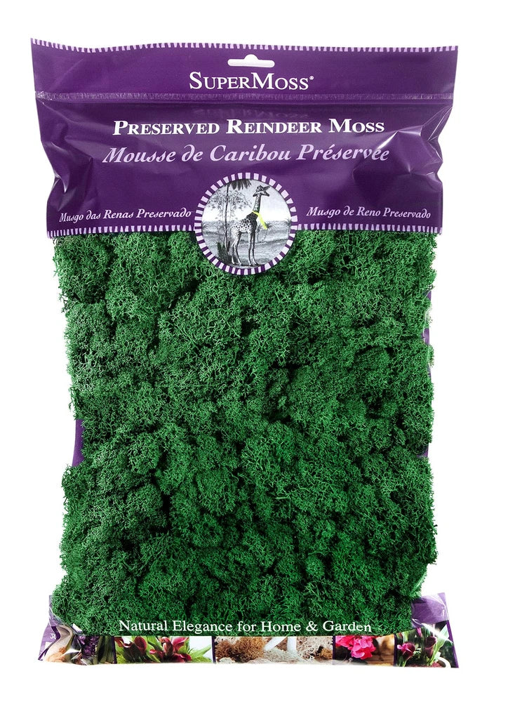 Supermoss Reindeer Moss 8Oz Forest Green Preserved Soft For Crafts And Decor Green Plant