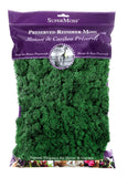 Supermoss Reindeer Moss 8Oz Forest Green Preserved Soft For Crafts And Decor Green Plant