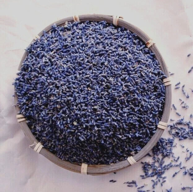 French Lavender Organic Flower Buds ~ Dark Blue ~ Fresh Flowers Bulk USA Flowering Plants