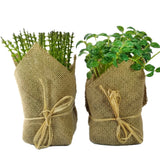 2 Pcs Small Artificial Plants Wrapped in Burlap Farmhouse Green Cottage 6.5-7" T Green Plant