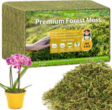 4.4LBS Sphagnum Moss for Plants, 80QT Natural Orchid Moss Potting Mix Dired, Gre Orchids
