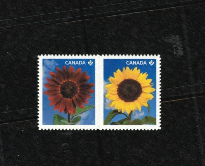 Two Canada MNH sunflower stamps, die-cut, yellow and red flower designs