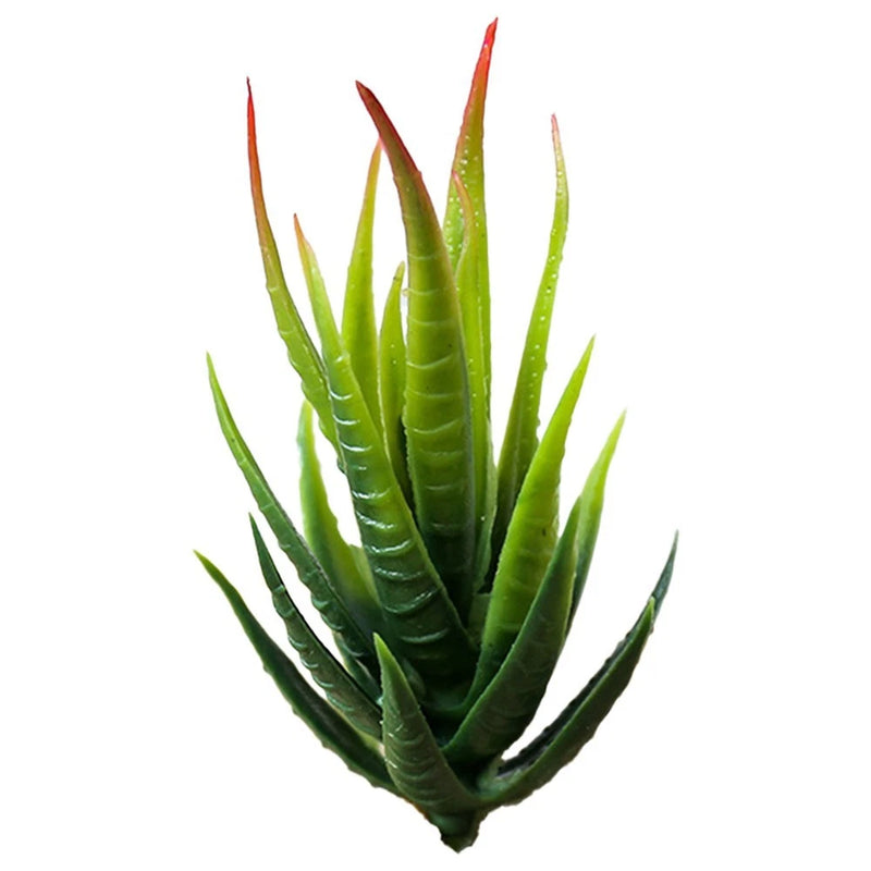 Premium PE&EVA Material Bright Colors Imitation Succulent Pot for Home Decor Green Plant