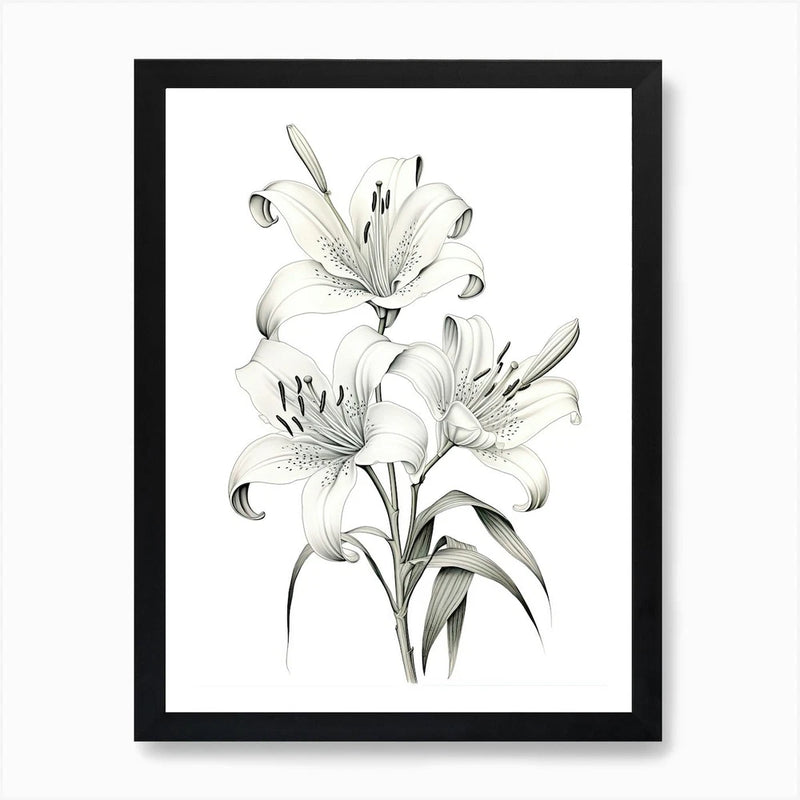 Framed vintage botanical lily wall art with white lily blooms and green stems