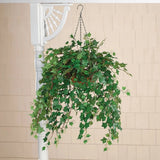 Large Fully Assembled Artificial English Green Ivy Indoor/Outdoor Hanging Basket Green Plant