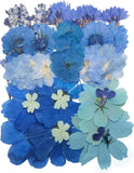 10 Types 33PCS Large Blue Dried Pressed Flower for Crafts, Large Big Real Nature Dried Flower