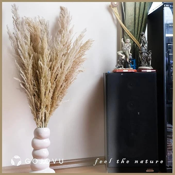 Pampas Grass Decor Tall 45 Inches 10 Stems of Dried Large Pampas Grass No Stench Pampas Grass