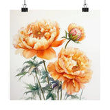 Orange Peonies Flower Art Print, Orange Flower Painting, Flower DŽcor 02 Peony