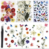 113 PCS Real Dried Flowers And Butterfly Tattoos For Crafts and resin Dried Flower