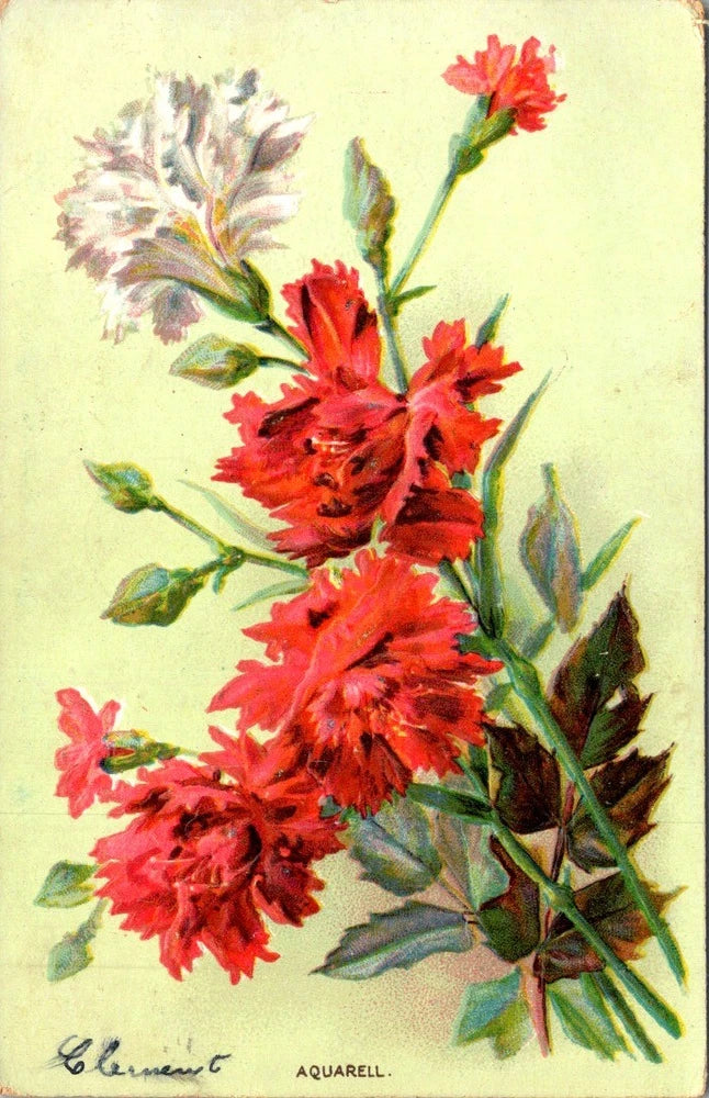 Floral postcard with red carnation bouquet on light background