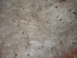 1/2+ oz Bag Milkweed Seed Fluff Floss Wind Checker Arts Crafts Fire Starters Dried Flower
