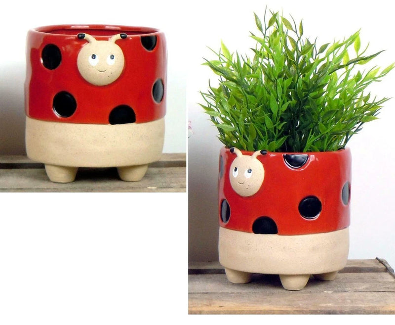 Ladybird Red Plant Flower Pot Ceramic Semi Glazed Ladybeetle Planter Lady Bird Flowering Plants