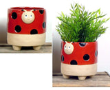 Ladybird Red Plant Flower Pot Ceramic Semi Glazed Ladybeetle Planter Lady Bird Flowering Plants