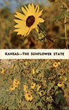 Kansas Sunflower Helianthus State Flower since 1903 unused vintage postcard Sunflower