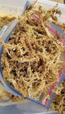 USA Sphagnum Moss 1 Gallon Bag by volume not wight. Approx 3.5grams (100+grams) Orchids