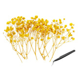 30 Pcs Dried Gypsophila Flower 4" Yellow Pressed Flowers with Tweezer Dried Flower
