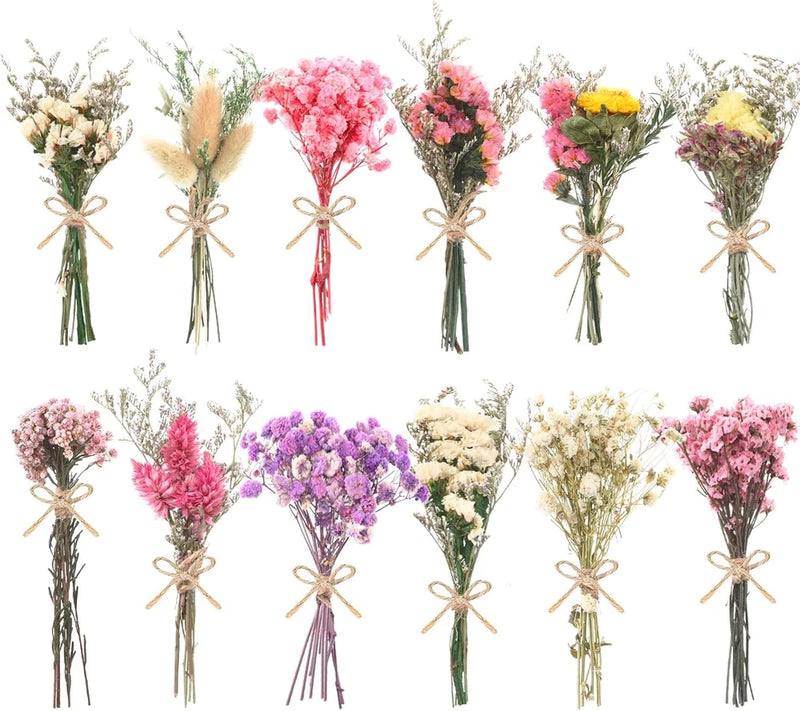 Mini dried flower bouquet pack with 10 assorted colors, small tied bundles