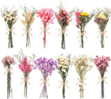 Mini dried flower bouquet pack with 10 assorted colors, small tied bundles