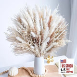 96PCS Natural Dried Pampas Grass Boho Home Decor Bouquet Phragmites 96 Pcs Pampas Grass