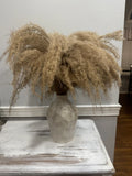 Tan  Ceramic Vase With  Pampas Grass Pampas Grass