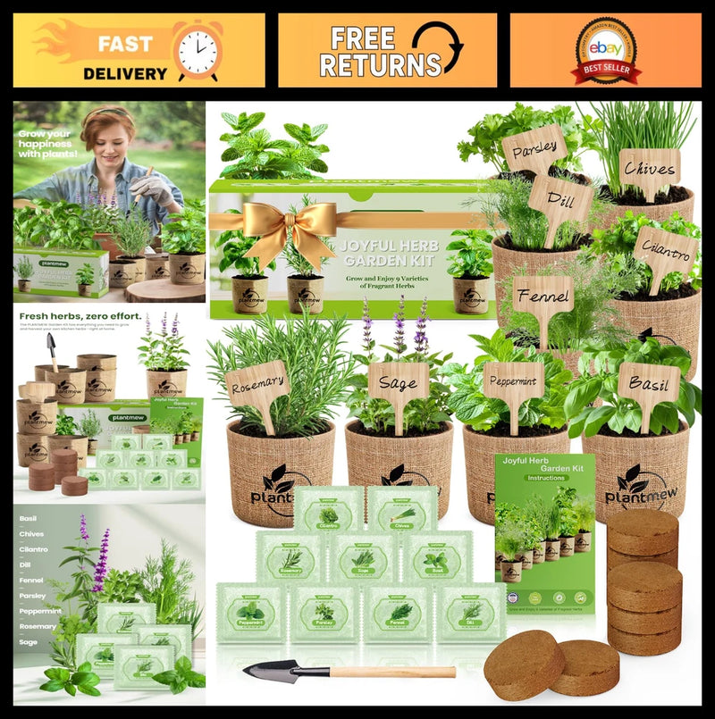 Culinary Herb Seeds Variety Pack Ð 9 Heirloom Kits for Indoor/Outdoor Gardening Garden Plants