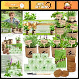Culinary Herb Seeds Variety Pack Ð 9 Heirloom Kits for Indoor/Outdoor Gardening Garden Plants