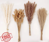 100 Stems Dried Pampas Grass Decor, 17", White/Brown, Bunny Tails Bouquet Pampas Grass