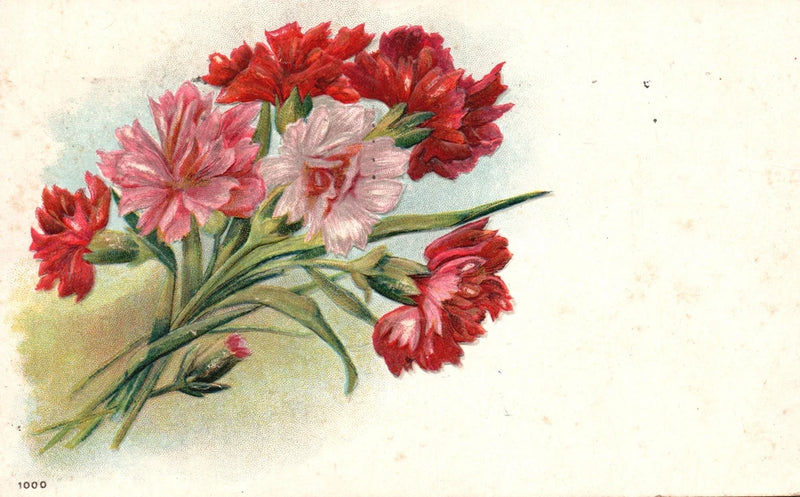 Vintage Postcard 1903 Carnation Flower Bouquet Greetings Friendship Wishes Card Carnation