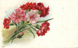 Vintage Postcard 1903 Carnation Flower Bouquet Greetings Friendship Wishes Card Carnation