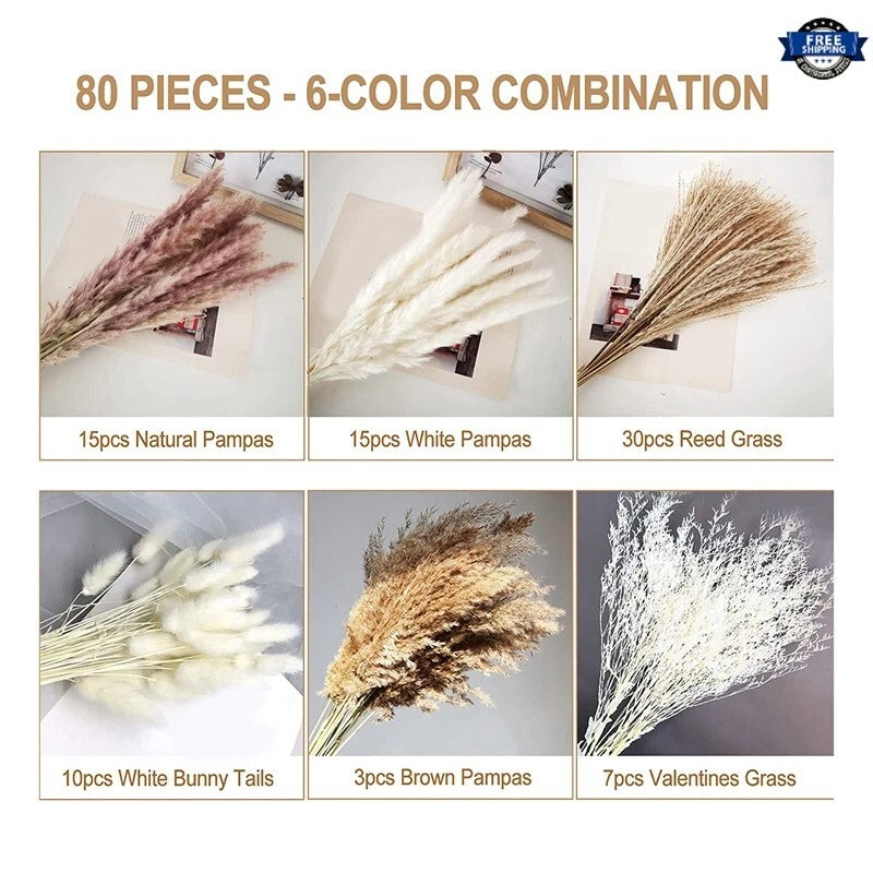80Pcs Dried Pampas Grass Flower,Pampas Dried 6 Kinds  Dried Plants natural Decor Pampas Grass