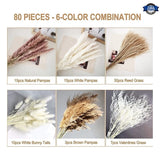 80Pcs Dried Pampas Grass Flower,Pampas Dried 6 Kinds  Dried Plants natural Decor Pampas Grass