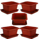 5 Sets Bonsai Training Pots Humidity Tray Garden Outdoor Flower and Trays Garden Plants
