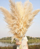 10 Stems 46" inch Dried Pampas Grass Decor Tall, Large 10PCS-46inch, Beige Pampas Grass