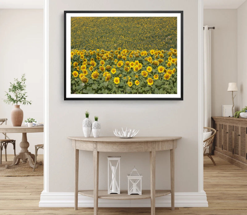 Framed sunflower field wall art print with yellow blooms and green background