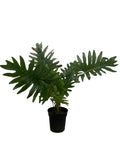 New IKEA FEJKA Artificial Potted Plant Winterbourn 19 cm (7 _ ") 706.008.62 Green Plant