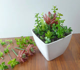 Set of 29 Miniature Artificial Grasses Fairy Garden Decoration (M33) Green Plant