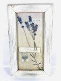 Vintage Framed Pressed Botanical Herbarium Plate Lavender Dried Flower