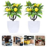 2 Pcs Artificial Potted Plants Lemon Miniature Tree Realistic Trees Green Plant