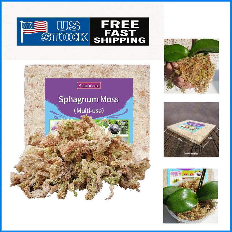Sphagnum moss propagation mix in bag with loose dried moss pile